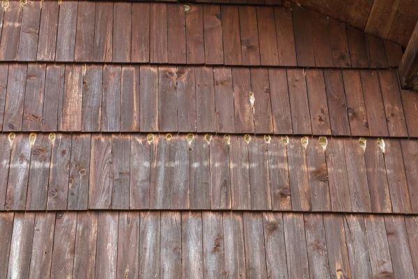 Woodpecker Hole Sealing