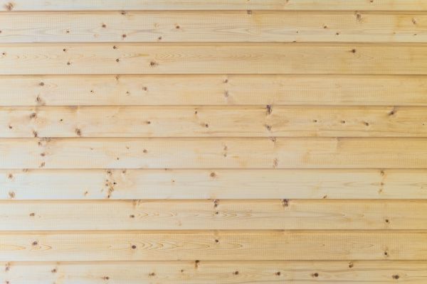 Woodpecker Hole Restoration