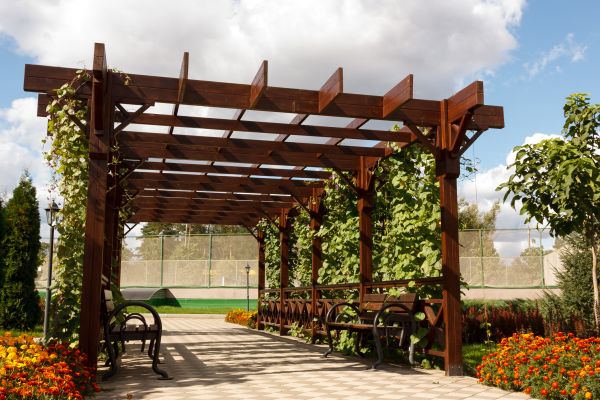 Pergola Staining