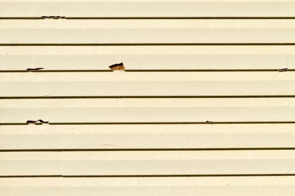 Siding Puncture Repair - Siding Puncture Repair Marlboro, New Jersey