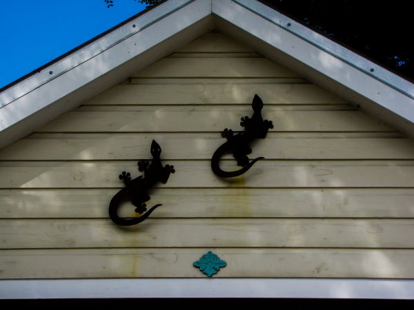 Shiplap Siding Installation - Shiplap Siding Installation Medford, Oregon