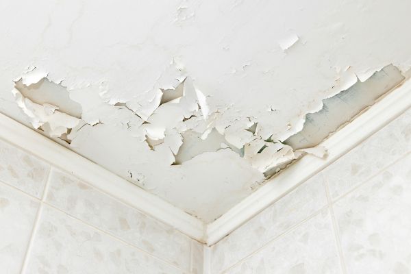 Water Infiltration Repair